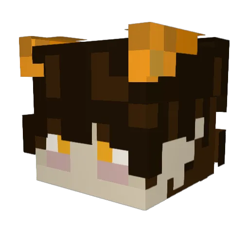 Corvin_Knight Minecraft avatar head, 3D render