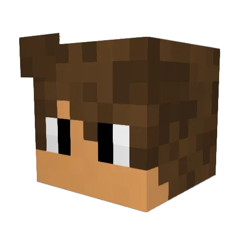 Corvonn Minecraft avatar head, 3D render