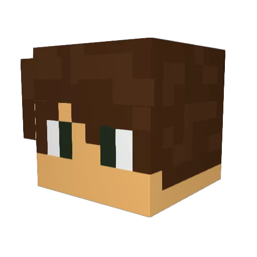 CorvusCorvax73 Minecraft avatar head, 3D render