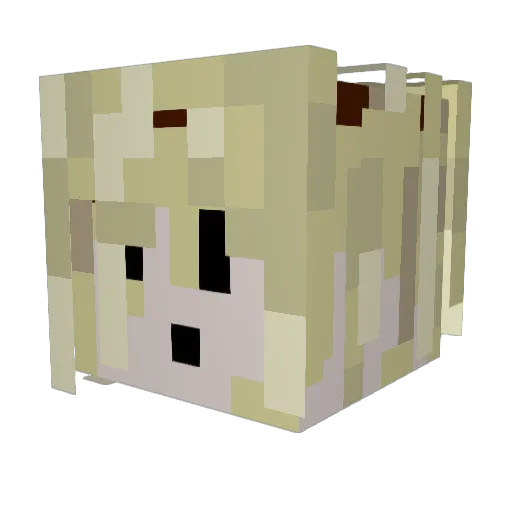CoryIsMad666 Minecraft avatar head, 3D render