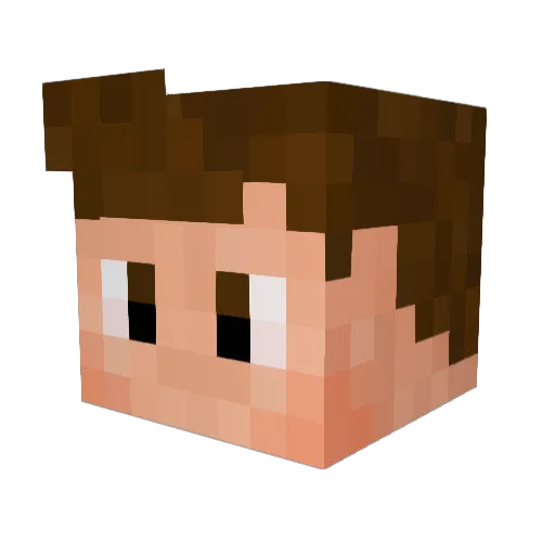 Cosaint Minecraft avatar head, 3D render