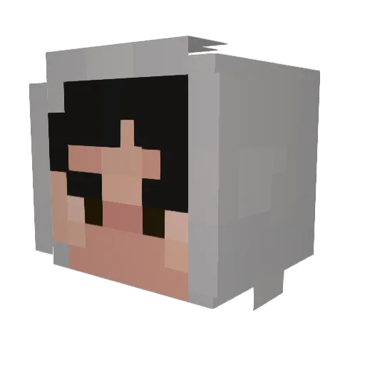 Cosbin Minecraft avatar head, 3D render