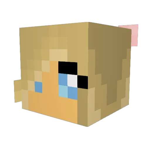 Coscott Minecraft avatar head, 3D render