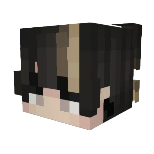 Coseur Minecraft avatar head, 3D render