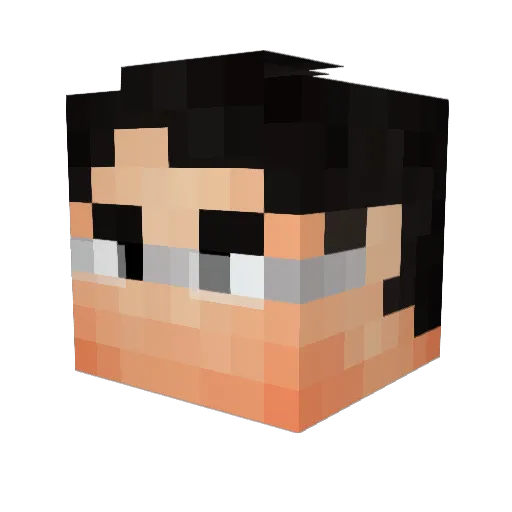 Coshke Minecraft avatar head, 3D render