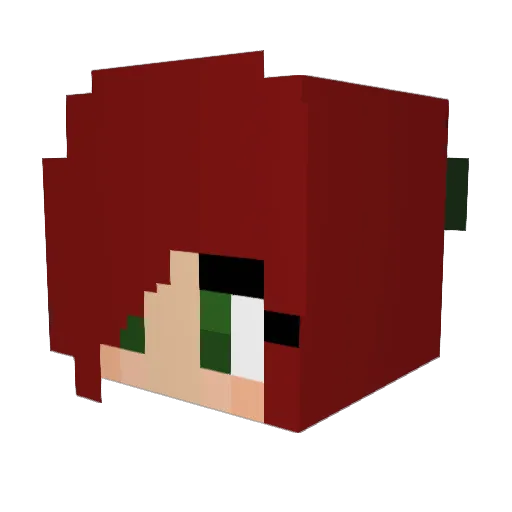 Cosi_Panda Minecraft avatar head, 3D render