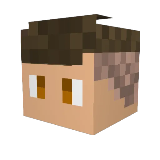Cosmere16 Minecraft avatar head, 3D render