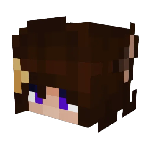 CosmicAdventurer Minecraft avatar head, 3D render