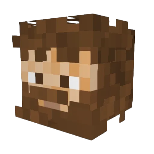 CosmicDio1 Minecraft avatar head, 3D render