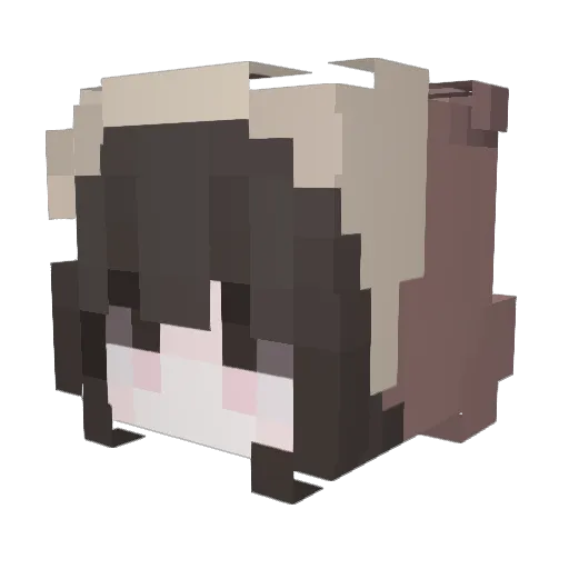 CosmicDoor Minecraft avatar head, 3D render