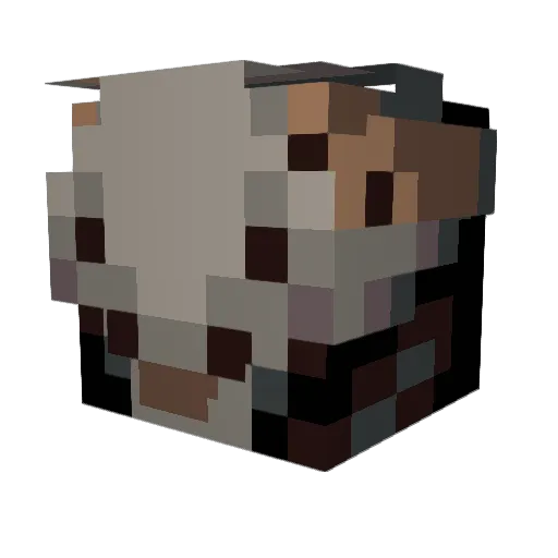 CosmicDragon_ Minecraft avatar head, 3D render