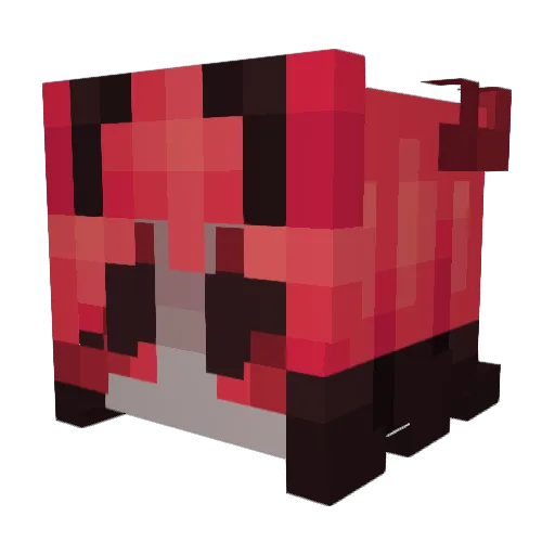 CosmicDuck6213 Minecraft avatar head, 3D render
