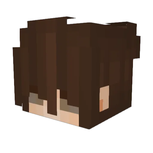 CosmicEchos72 Minecraft avatar head, 3D render