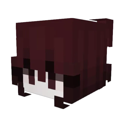 CosmicF1ower Minecraft avatar head, 3D render