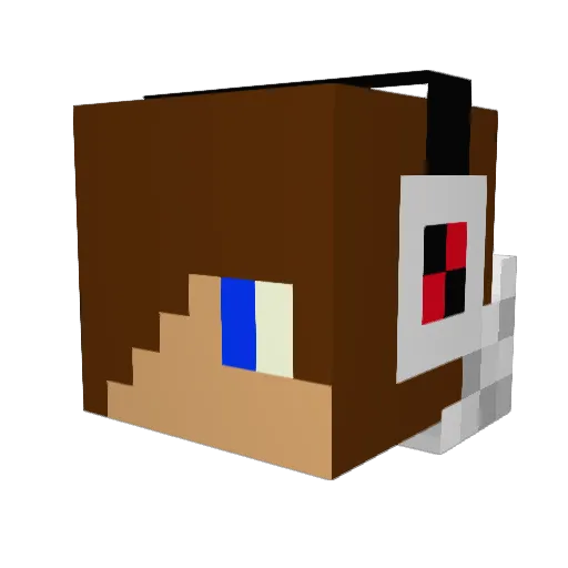CosmicGhost2212 Minecraft avatar head, 3D render
