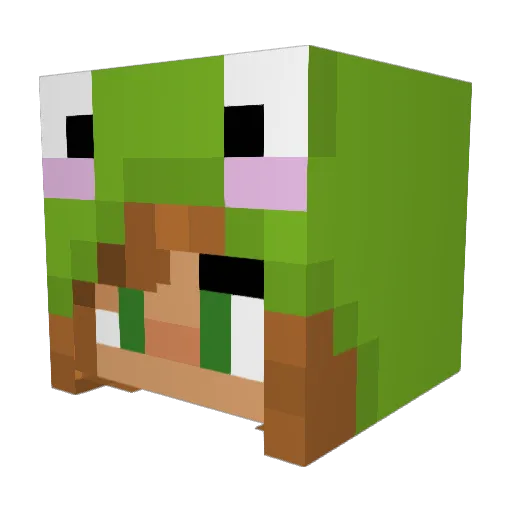 CosmicMaggot Minecraft avatar head, 3D render
