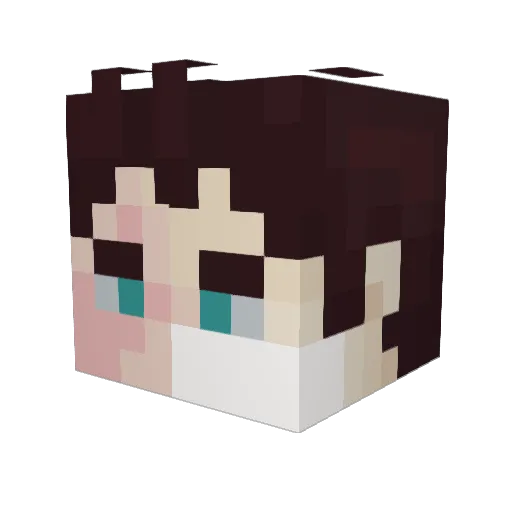 CosmicMoth__ Minecraft avatar head, 3D render