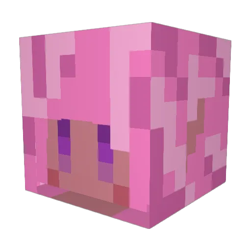 CosmicMushMom Minecraft avatar head, 3D render
