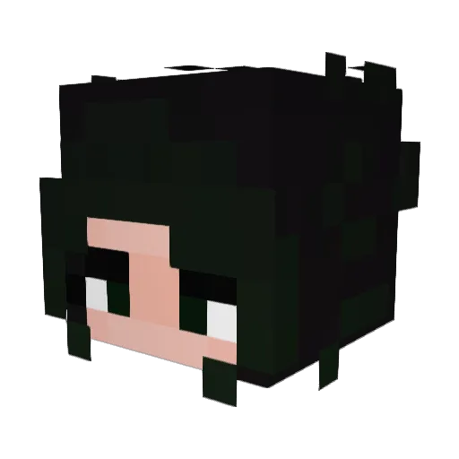 Minecraft-Avatar von CosmicSage64: Kopf als 3D-Render