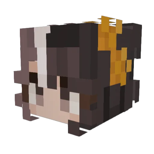 Minecraft-Avatar von CosmicSheep: Kopf als 3D-Render