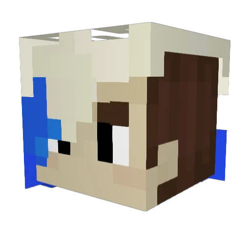 CosmicVerity22 Minecraft avatar head, 3D render