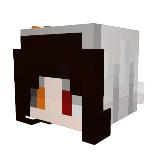 CosmicWisp_ Minecraft avatar head, 3D render