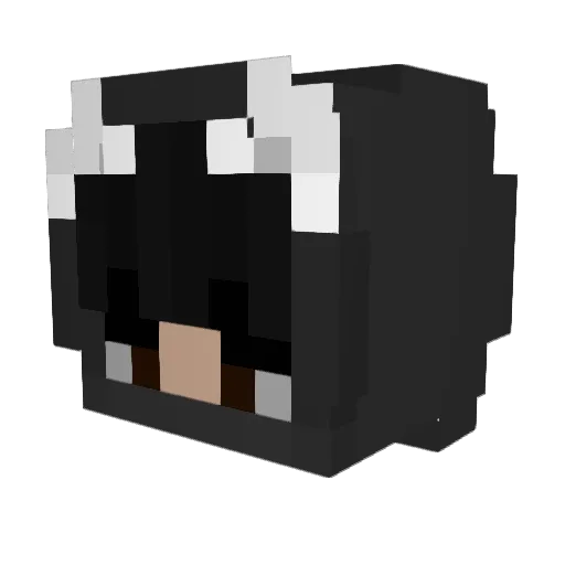Cosmic_Coucher Minecraft avatar head, 3D render