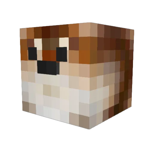 Cosmic_Doggy Minecraft avatar head, 3D render