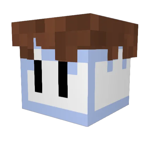 Cosmic__Fox Minecraft avatar head, 3D render