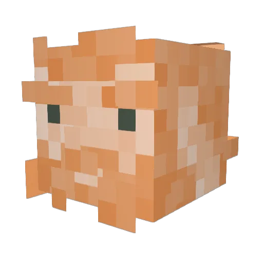 CosmiicPieman Minecraft avatar head, 3D render