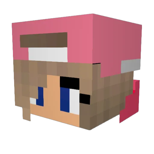 CosmoBreyers1414 Minecraft avatar head, 3D render