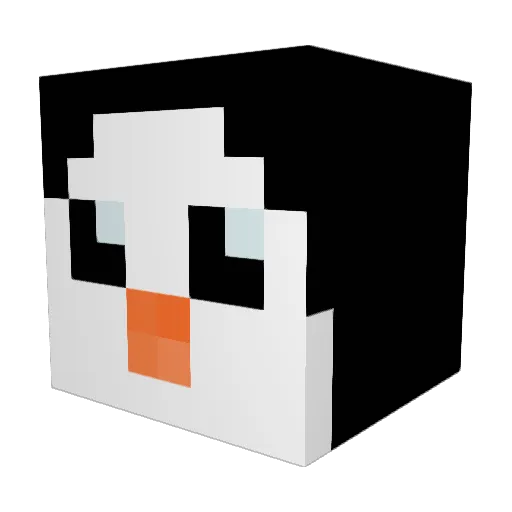 Cosmo_Fly Minecraft avatar head, 3D render