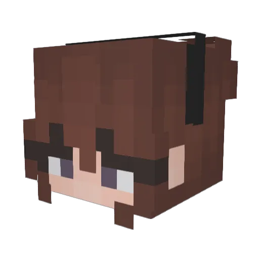 Cosmo_Turtel Minecraft avatar head, 3D render