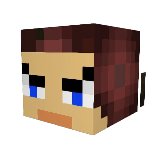 Cosmoguy Minecraft avatar head, 3D render