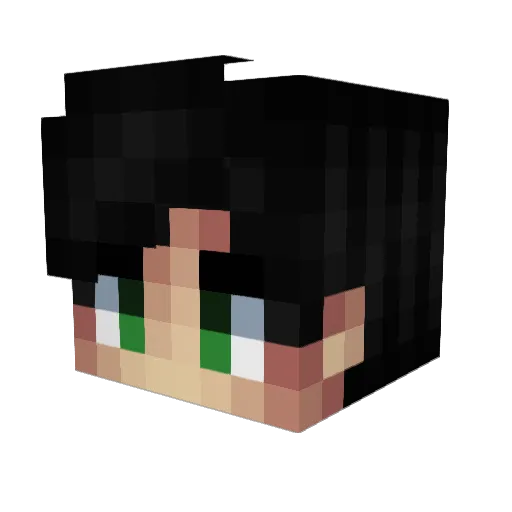 Cosmomuche Minecraft avatar head, 3D render