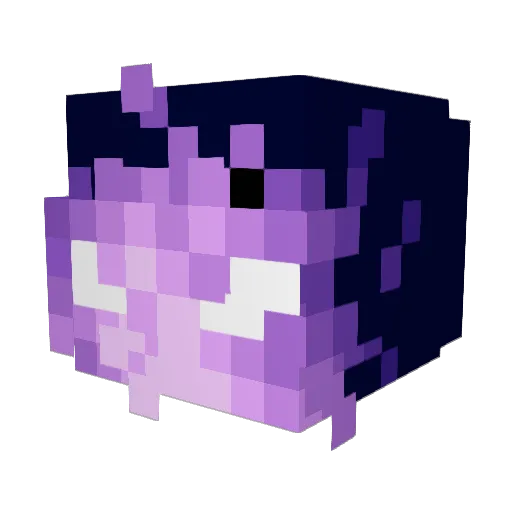 Cosmos_0 Minecraft avatar head, 3D render