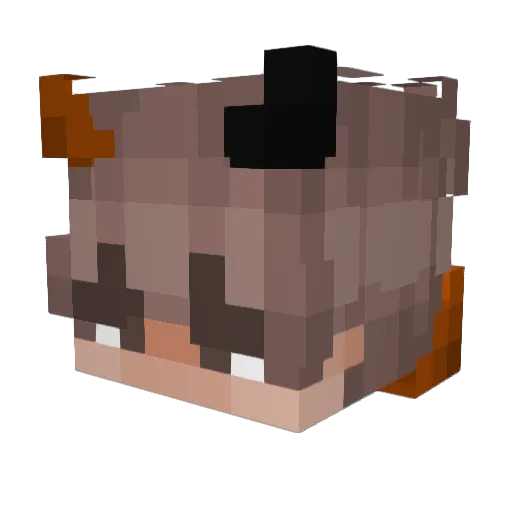 CosmoxCadet Minecraft avatar head, 3D render