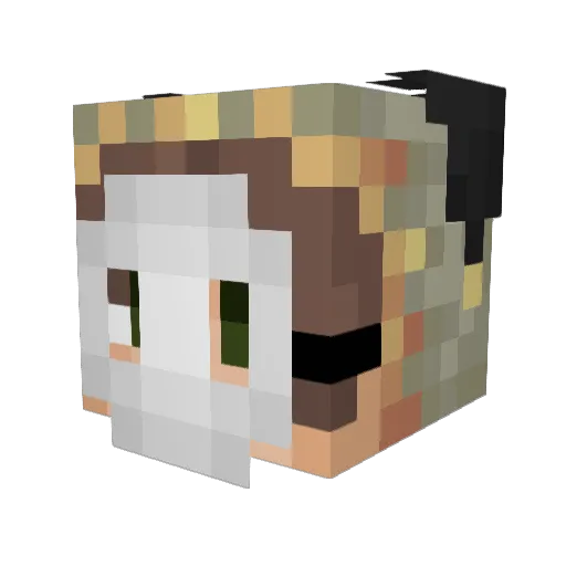Cosnake Minecraft avatar head, 3D render