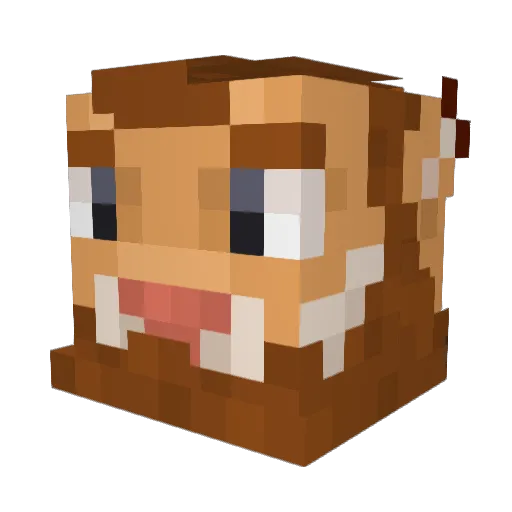 CostaKangaroo Minecraft avatar head, 3D render