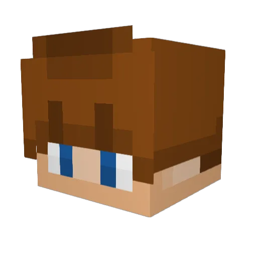 CostcoDewier Minecraft avatar head, 3D render