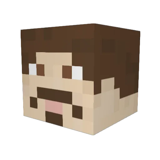 CostcoPigeon Minecraft avatar head, 3D render