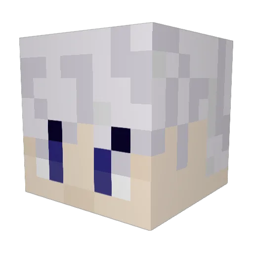 Coste1111 Minecraft avatar head, 3D render