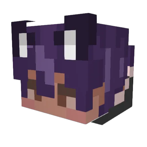 CostlyCoffee326 Minecraft avatar head, 3D render
