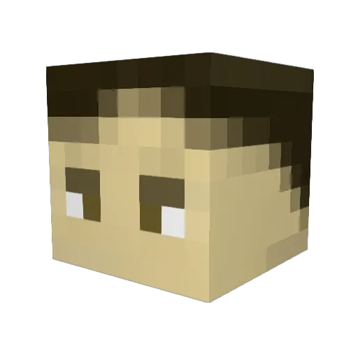 Costoro Minecraft avatar head, 3D render