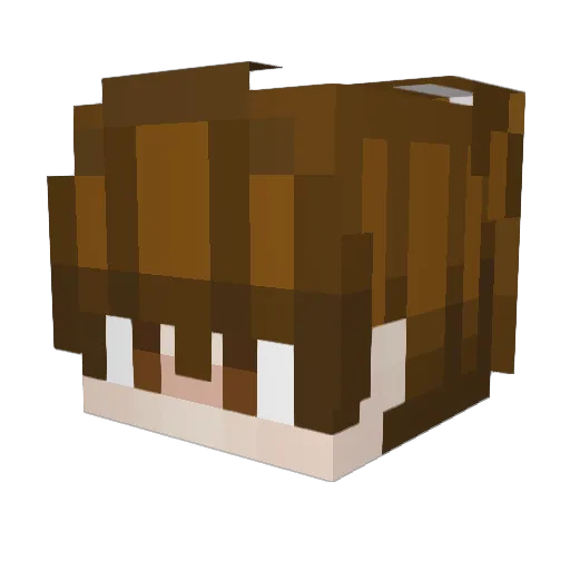 Coswicboy Minecraft avatar head, 3D render
