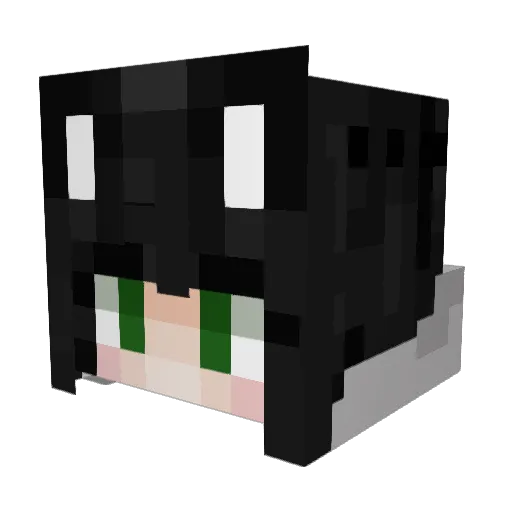 CosyBirKedy Minecraft avatar head, 3D render