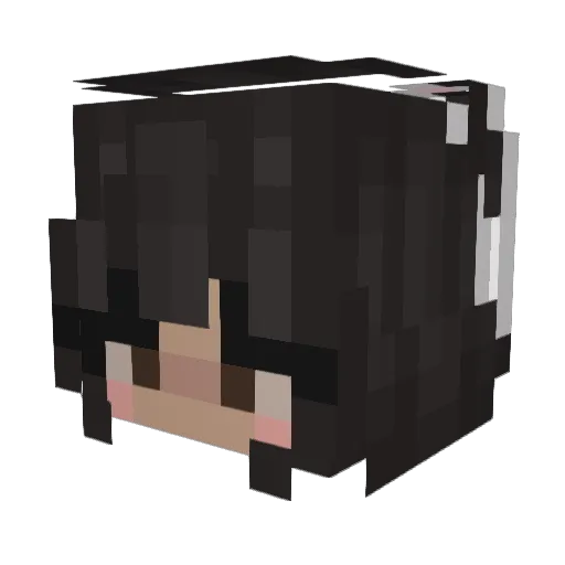 CoteLuna Minecraft avatar head, 3D render