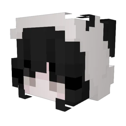 Cotias Minecraft avatar head, 3D render