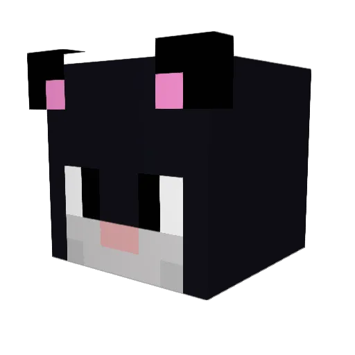 Cotita Minecraft avatar head, 3D render