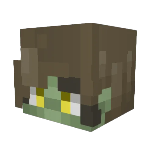 CottageFroggy Minecraft avatar head, 3D render
